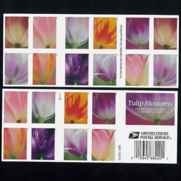 2023 Forever Postage Stamp Tulip Blossoms  MNH Full Booklet - Picture 3 of 3